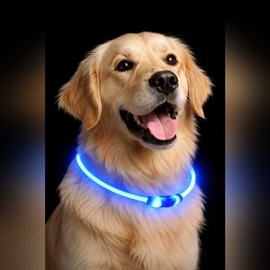 Blue LED Light-Up Dog Collar | Rechargeable & Waterproof | Night Safety
